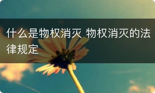 什么是物权消灭 物权消灭的法律规定