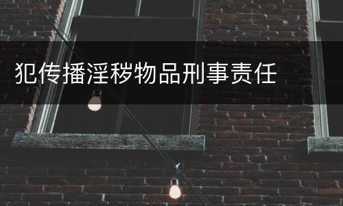 犯传播淫秽物品刑事责任