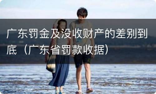 广东罚金及没收财产的差别到底（广东省罚款收据）