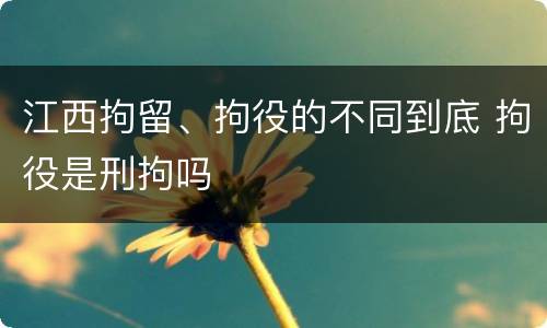 江西拘留、拘役的不同到底 拘役是刑拘吗