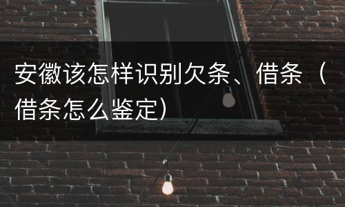 安徽该怎样识别欠条、借条（借条怎么鉴定）