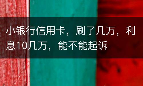 小银行信用卡，刷了几万，利息10几万，能不能起诉
