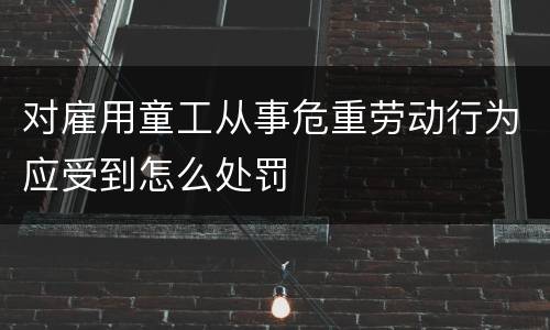 对雇用童工从事危重劳动行为应受到怎么处罚