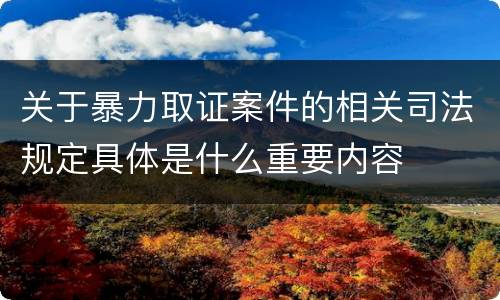 关于暴力取证案件的相关司法规定具体是什么重要内容
