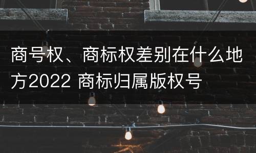 商号权、商标权差别在什么地方2022 商标归属版权号