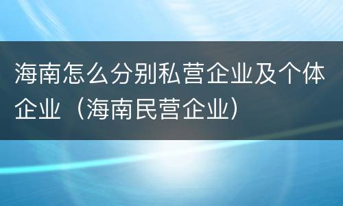 海南怎么分别私营企业及个体企业（海南民营企业）