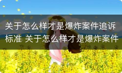 关于怎么样才是爆炸案件追诉标准 关于怎么样才是爆炸案件追诉标准的规定