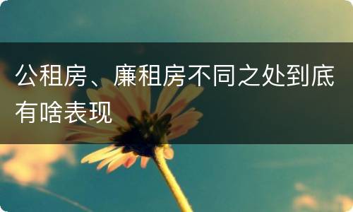 公租房、廉租房不同之处到底有啥表现