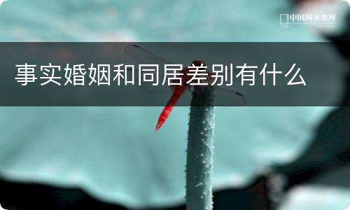 事实婚姻和同居差别有什么
