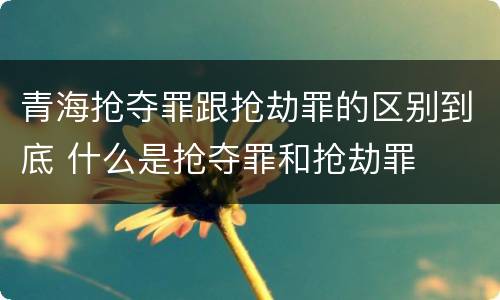 青海抢夺罪跟抢劫罪的区别到底 什么是抢夺罪和抢劫罪