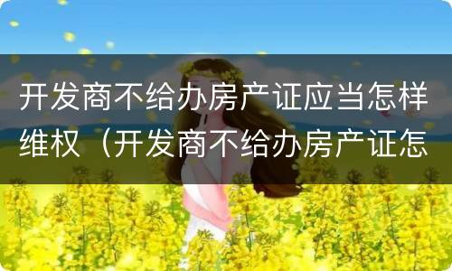 开发商不给办房产证应当怎样维权（开发商不给办房产证怎么办,起诉有用吗?）