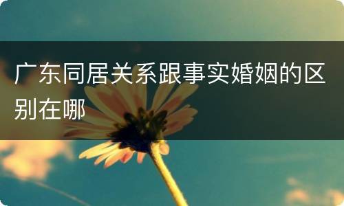广东同居关系跟事实婚姻的区别在哪