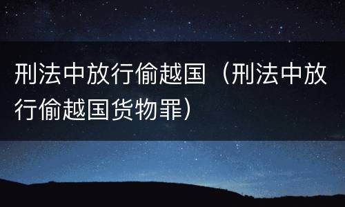 刑法中放行偷越国（刑法中放行偷越国货物罪）