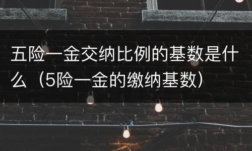五险一金交纳比例的基数是什么（5险一金的缴纳基数）
