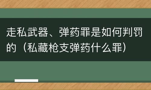 走私武器、弹药罪是如何判罚的（私藏枪支弹药什么罪）