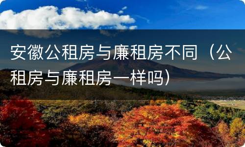 安徽公租房与廉租房不同（公租房与廉租房一样吗）