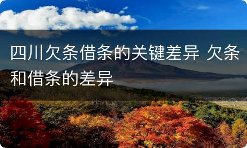 四川欠条借条的关键差异 欠条和借条的差异