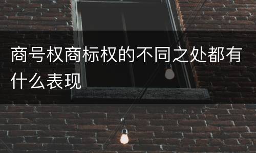 商号权商标权的不同之处都有什么表现