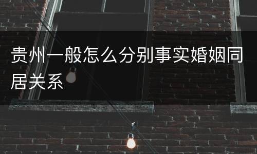 贵州一般怎么分别事实婚姻同居关系