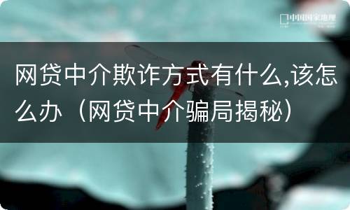 网贷中介欺诈方式有什么,该怎么办（网贷中介骗局揭秘）