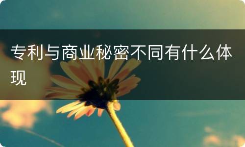专利与商业秘密不同有什么体现