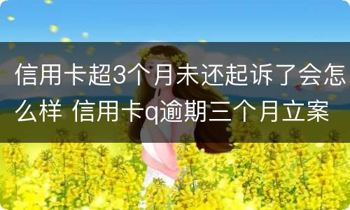 信用卡超3个月未还起诉了会怎么样 信用卡q逾期三个月立案怎么办
