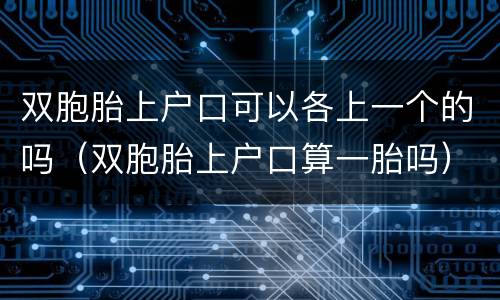 双胞胎上户口可以各上一个的吗（双胞胎上户口算一胎吗）