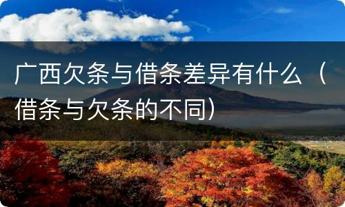 广西欠条与借条差异有什么（借条与欠条的不同）