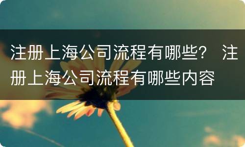 注册上海公司流程有哪些？ 注册上海公司流程有哪些内容