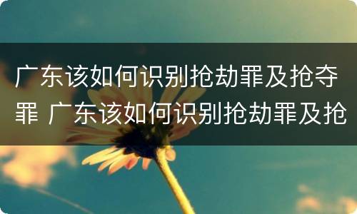 广东该如何识别抢劫罪及抢夺罪 广东该如何识别抢劫罪及抢夺罪名