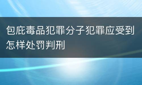 包庇毒品犯罪分子犯罪应受到怎样处罚判刑