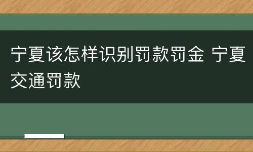 宁夏该怎样识别罚款罚金 宁夏交通罚款