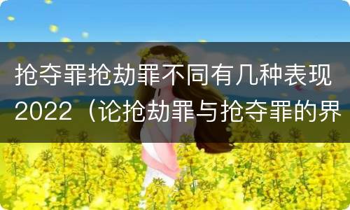 抢夺罪抢劫罪不同有几种表现2022（论抢劫罪与抢夺罪的界限）