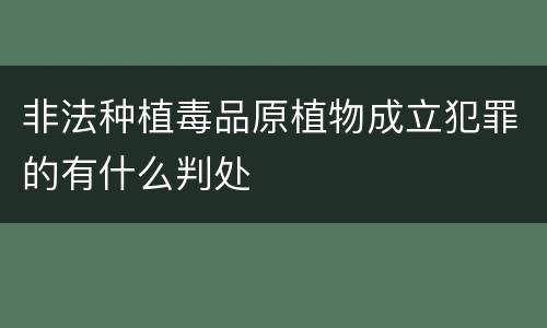 非法种植毒品原植物成立犯罪的有什么判处