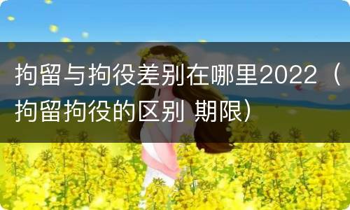 拘留与拘役差别在哪里2022（拘留拘役的区别 期限）