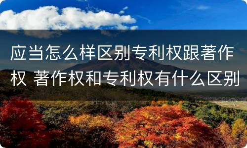 应当怎么样区别专利权跟著作权 著作权和专利权有什么区别