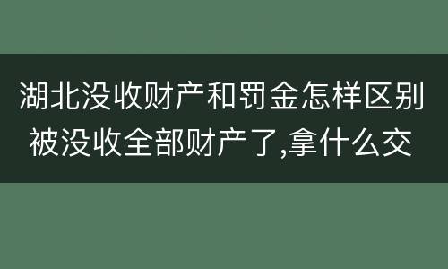 湖北没收财产和罚金怎样区别 被没收全部财产了,拿什么交罚金
