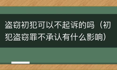 盗窃初犯可以不起诉的吗（初犯盗窃罪不承认有什么影响）