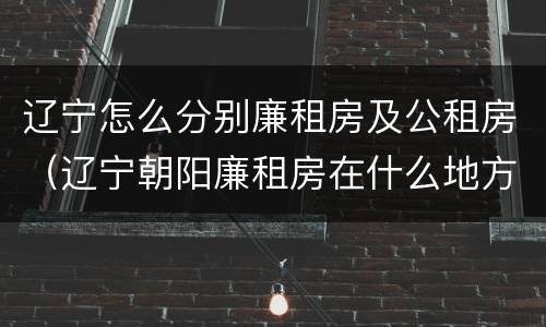 辽宁怎么分别廉租房及公租房（辽宁朝阳廉租房在什么地方）