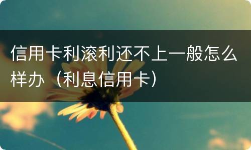 信用卡利滚利还不上一般怎么样办（利息信用卡）