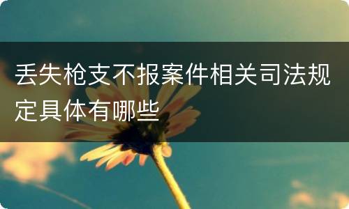 丢失枪支不报案件相关司法规定具体有哪些