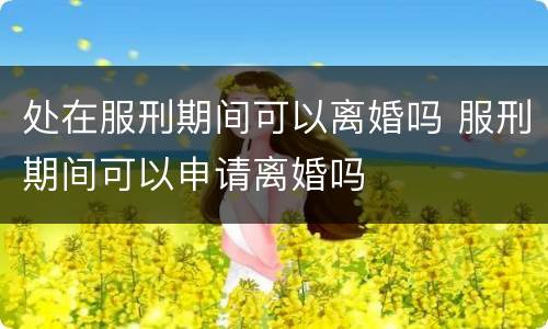 处在服刑期间可以离婚吗 服刑期间可以申请离婚吗