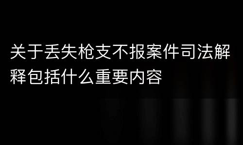 关于丢失枪支不报案件司法解释包括什么重要内容