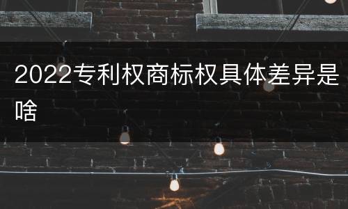 2022专利权商标权具体差异是啥