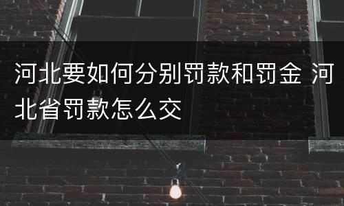 河北要如何分别罚款和罚金 河北省罚款怎么交