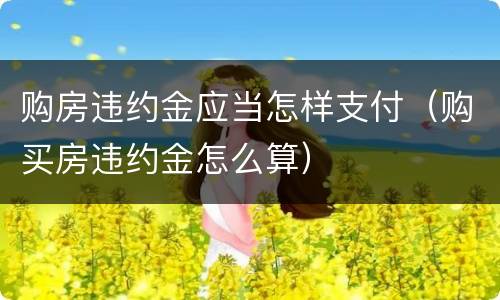 购房违约金应当怎样支付（购买房违约金怎么算）