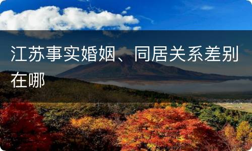 江苏事实婚姻、同居关系差别在哪
