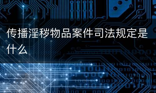 传播淫秽物品案件司法规定是什么