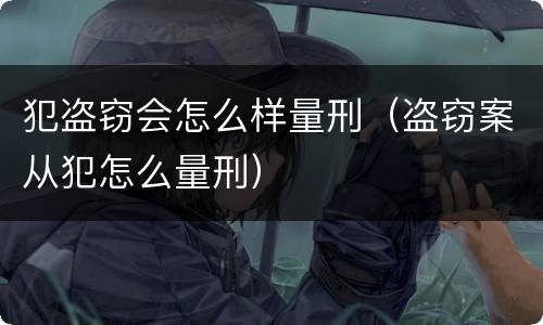 犯盗窃会怎么样量刑（盗窃案从犯怎么量刑）