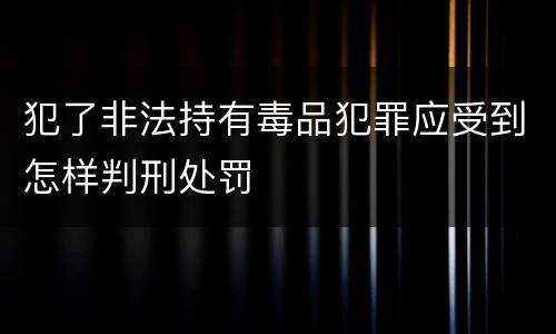 犯了非法持有毒品犯罪应受到怎样判刑处罚